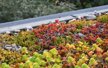 the cost of Tenston green roof installation