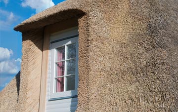 Tenston thatch roof disadvantages