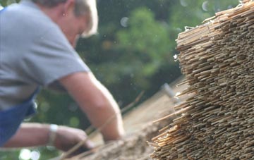 professional Tenston thatchers